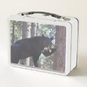 Lunch Box Gamelle d'ours noir (Dos)