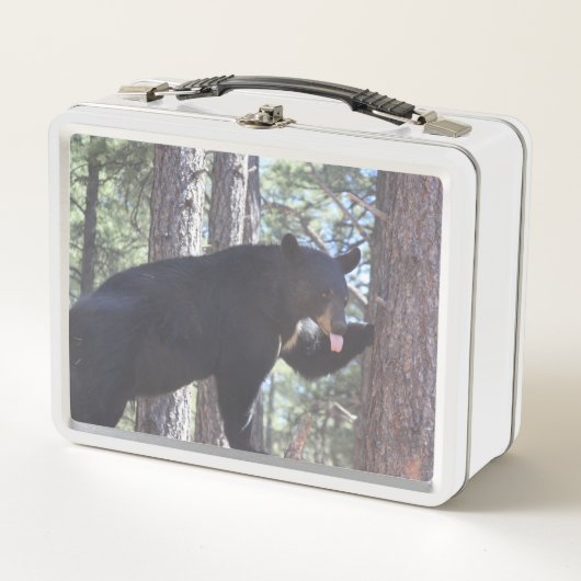 Lunch Box Gamelle d'ours noir (Devant)