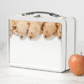 Lunch Box Gamme de marionnettes dormantes d'or (En situation)