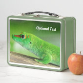 Lunch Box Gecko Géant Green Day (En situation)
