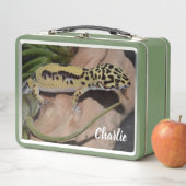 Lunch Box Gecko jaune gras (En situation)
