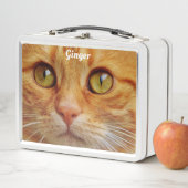 Lunch Box Ginger Cat (En situation)