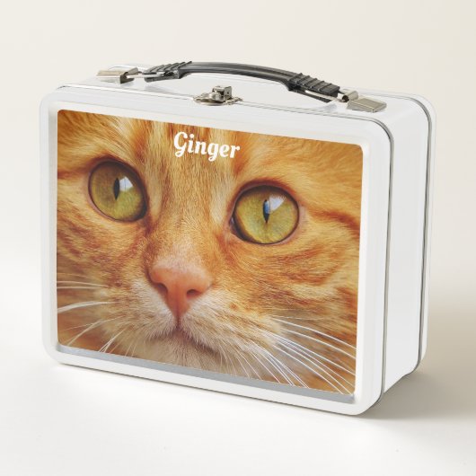 Lunch Box Ginger Cat (Devant)