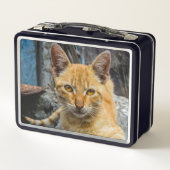 Lunch Box Golden Eyes (Dos)