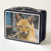 Lunch Box Golden Eyes (Devant)