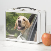 Lunch Box Golden Labrador In Rearview Mirror (En situation)