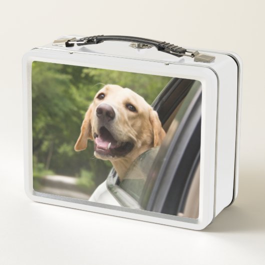 Lunch Box Golden Labrador In Rearview Mirror (Dos)