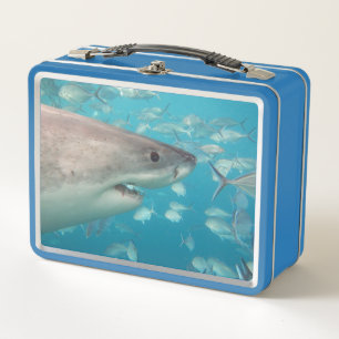 Lunch Box Grand requin blanc Gros plan Océan Australie