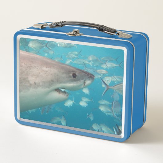Lunch Box Grand requin blanc Gros plan Océan Australie (Devant)