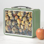 Lunch Box Grappes de citrouilles rayées (En situation)