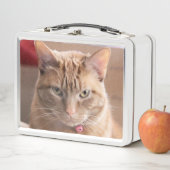 Lunch Box Grave (En situation)