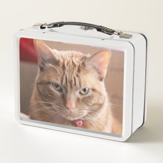 Lunch Box Grave (Dos)