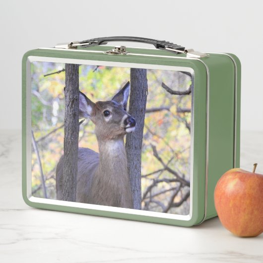 Lunch Box Gros plan du cerf à queue blanche coupé (En situation)