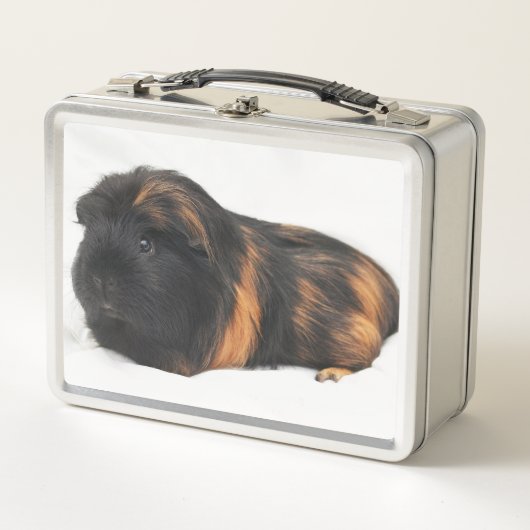 Lunch Box Guinea Pig (Devant)