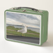 Lunch Box Gull (Devant)