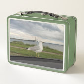 Lunch Box Gull (Dos)