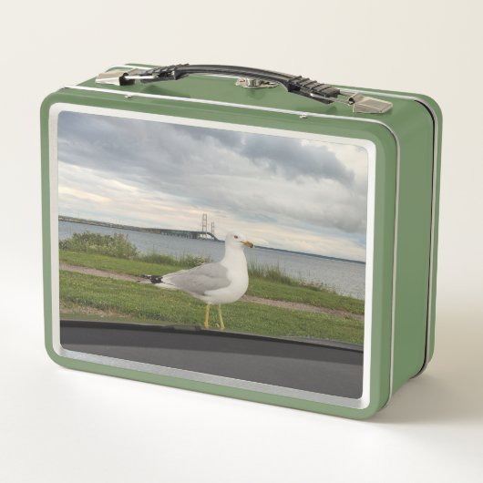 Lunch Box Gull (Dos)