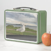 Lunch Box Gull (En situation)
