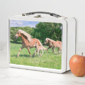 Lunch Box Haflinger Hors with Cute Foals Run Funny Photo " (En situation)