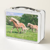 Lunch Box Haflinger Hors with Cute Foals Run Funny Photo " (Dos)
