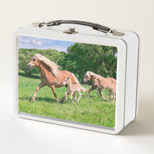 Lunch Box Haflinger Hors with Cute Foals Run Funny Photo " (Devant)