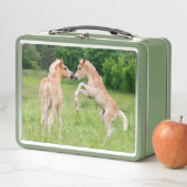 Lunch Box Haflinger Horses Cute Fote Friends Rearing Photo (En situation)