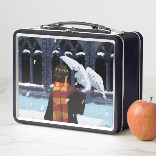 Lunch Box HARRY POTTER™ & Hedwig dans la neige (En situation)