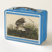 Lunch Box Hawk d'hiver, les oiseaux d'Amérique de John James (Dos)