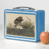 Lunch Box Hawk d'hiver, les oiseaux d'Amérique de John James (En situation)