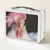 Lunch Box Hen (Dos)