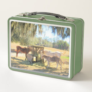 Lunch Box Heure du déjeuner des chevaux et des ânes 