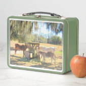 Lunch Box Heure du déjeuner des chevaux et des ânes (En situation)