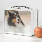 Lunch Box Heureux Shelty (En situation)