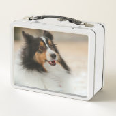 Lunch Box Heureux Shelty (Dos)