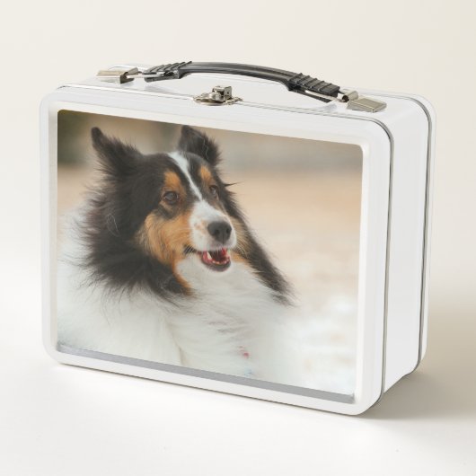 Lunch Box Heureux Shelty (Devant)