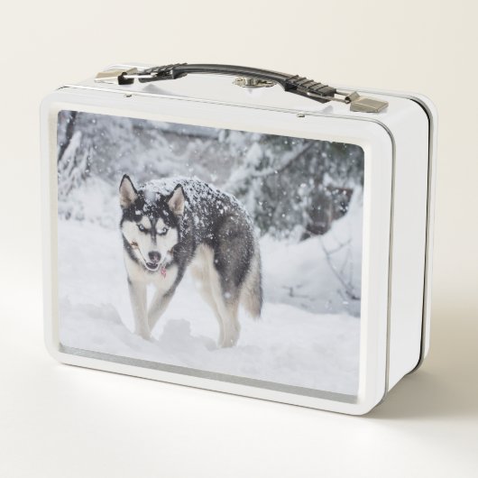 Lunch Box Husky dans la neige (Dos)