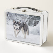 Lunch Box Husky dans la neige (Devant)