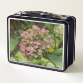 Lunch Box Hydrangea d'automne en fleurs avec feuilles d'host (Dos)