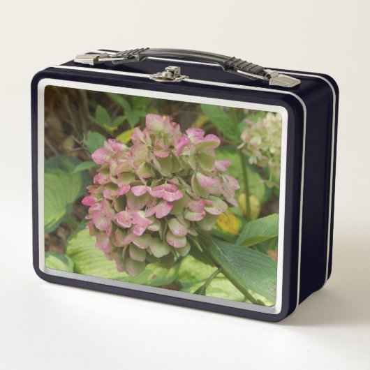 Lunch Box Hydrangea d'automne en fleurs avec feuilles d'host (Devant)