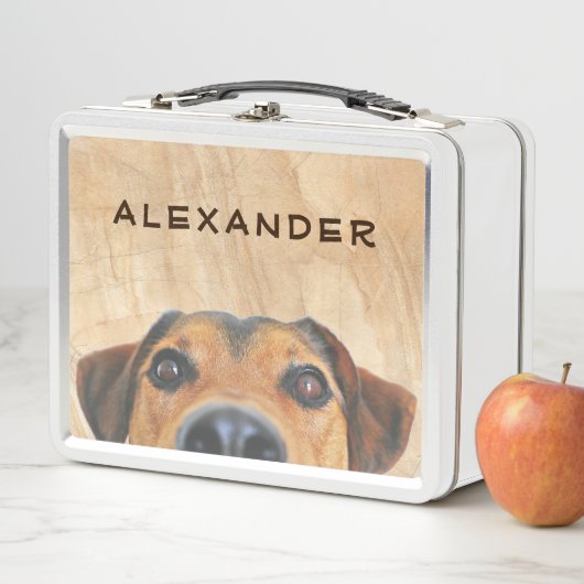 Lunch Box Illustration du chiot mou (En situation)