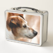 LUNCH BOX JACK RUSSELL TERRIER CHIEN (Devant)
