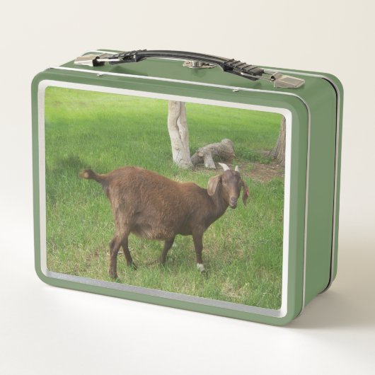 Lunch Box Jeune chèvre Brown en herbe (Dos)