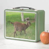 Lunch Box Jeune chèvre Brown en herbe (En situation)