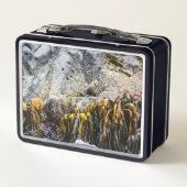 Lunch Box Jeune Sceau De Fourrure Sur Le Rocher (Dos)