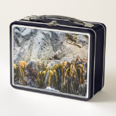 Lunch Box Jeune Sceau De Fourrure Sur Le Rocher (Devant)