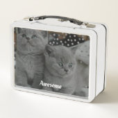 Lunch Box Jolis chats gris (Dos)
