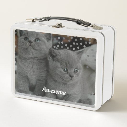 Lunch Box Jolis chats gris (Devant)