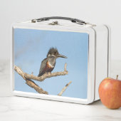 Lunch Box Kingfisher géant (En situation)