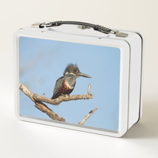 Lunch Box Kingfisher géant (Dos)