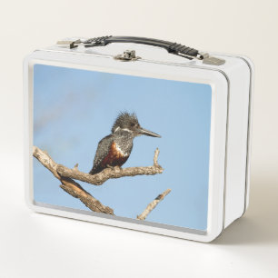 Lunch Box Kingfisher géant